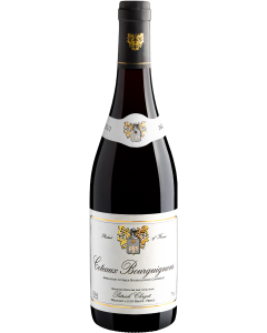 Patrick Clerget Coteaux Bourguignons AOP 2021 750mL