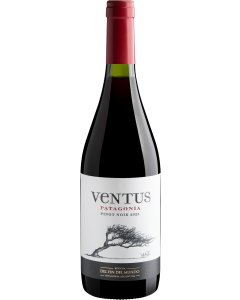 Ventus Patagonia Pinot Noir 2023 750mL